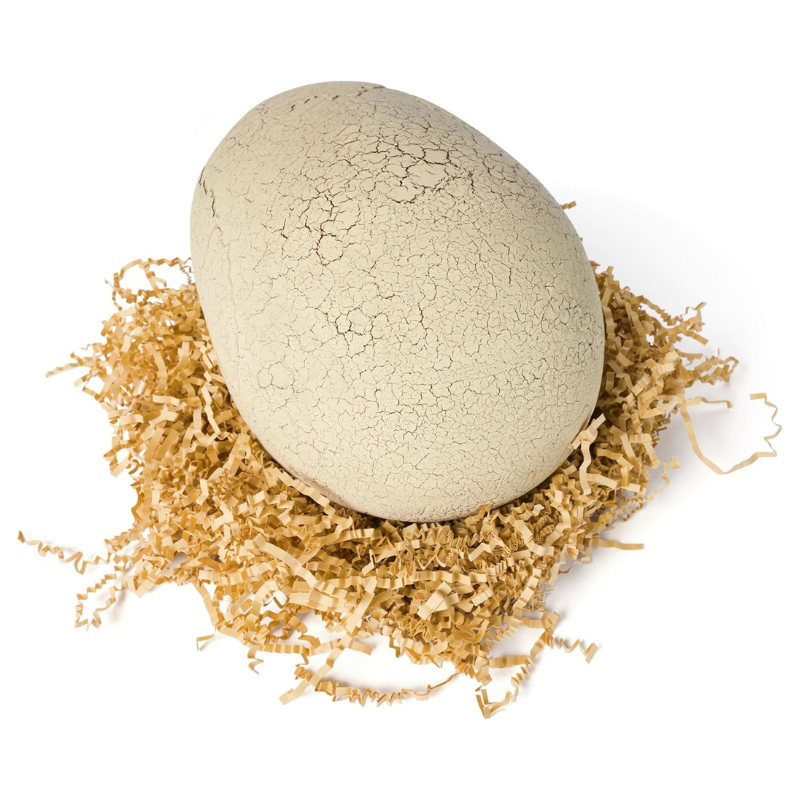 Jurassic World Interactive Toy Dinosaur And Egg