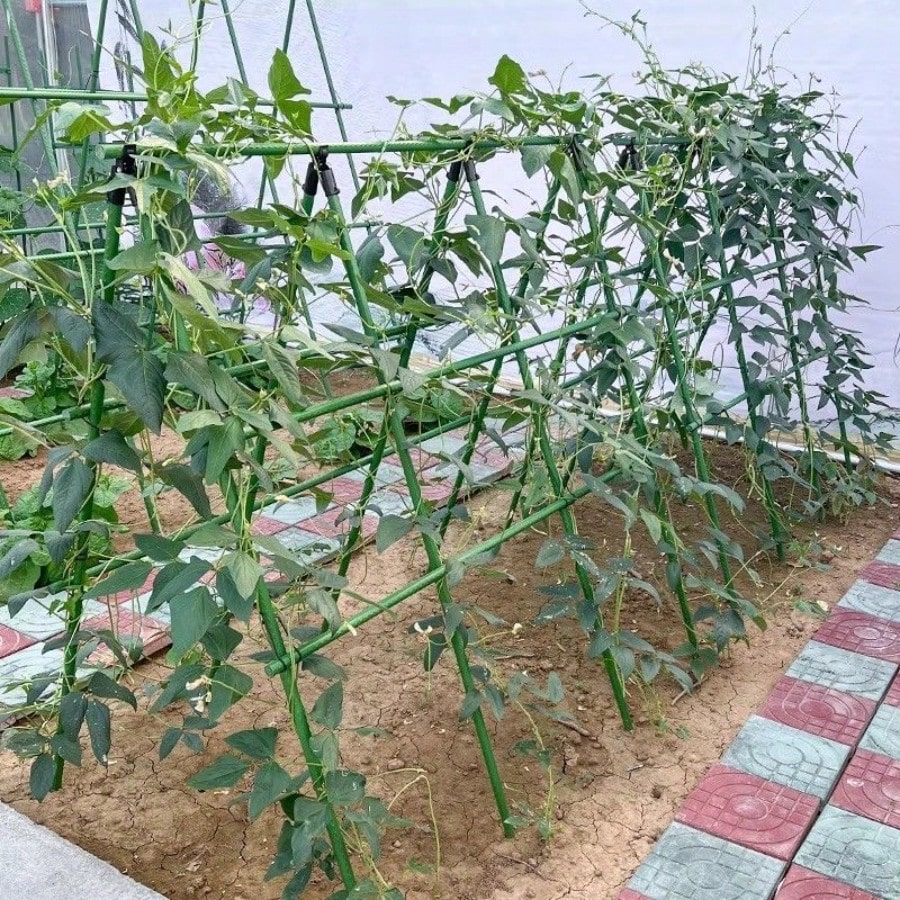 Multifunctional Gardening Plastic Support Stakes