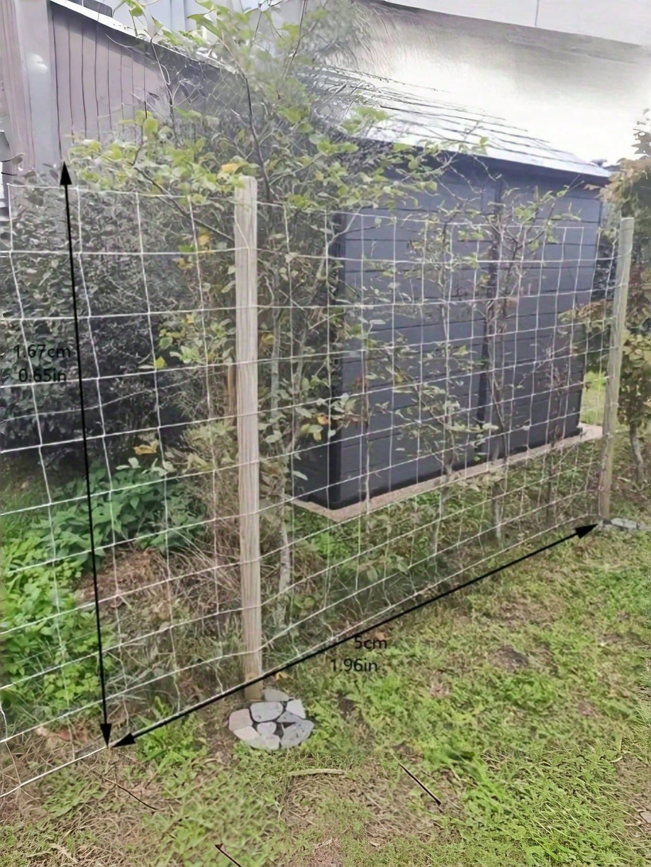 Climbing Plant Support Net for Garden