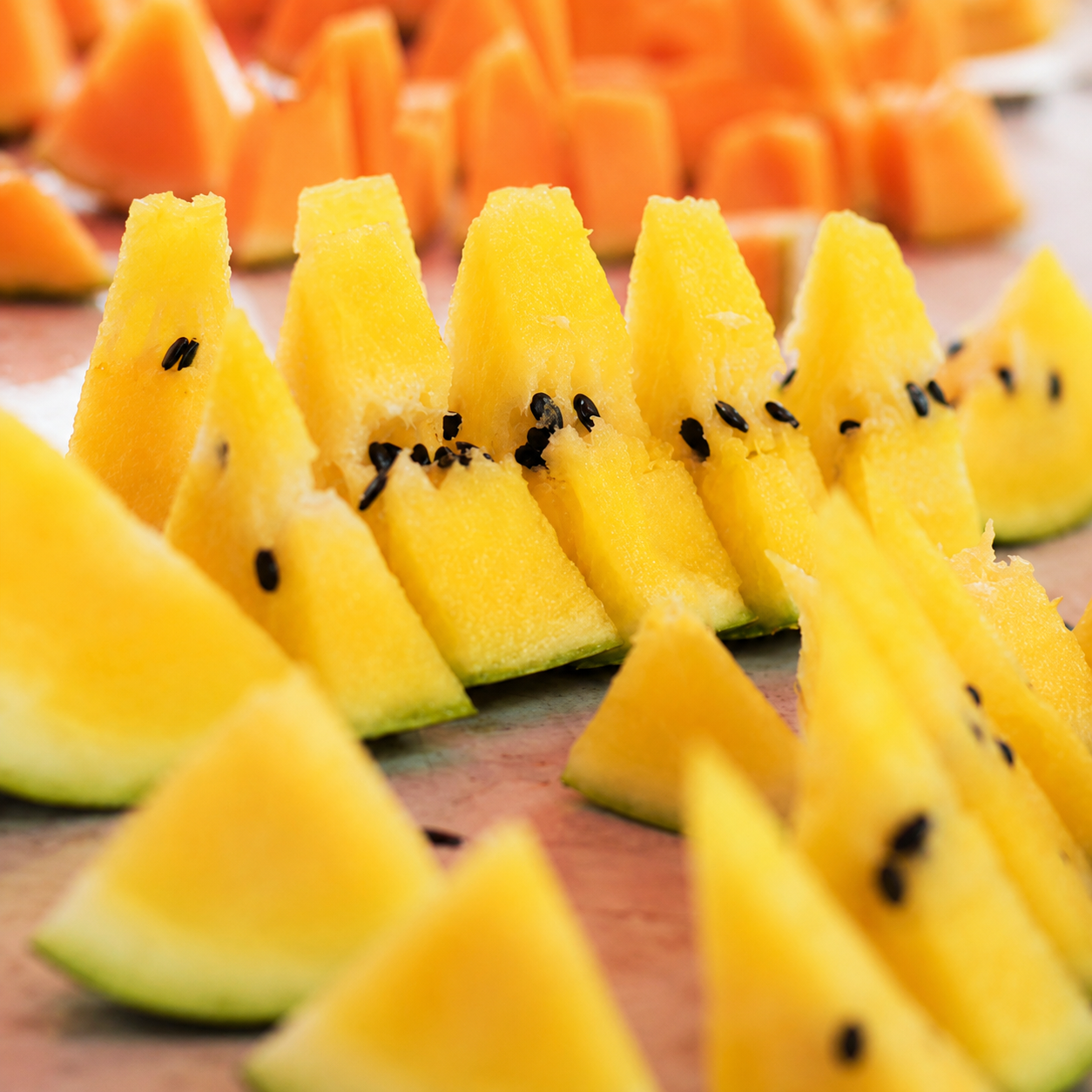 Crimson Watermelon Pollinated Seeds