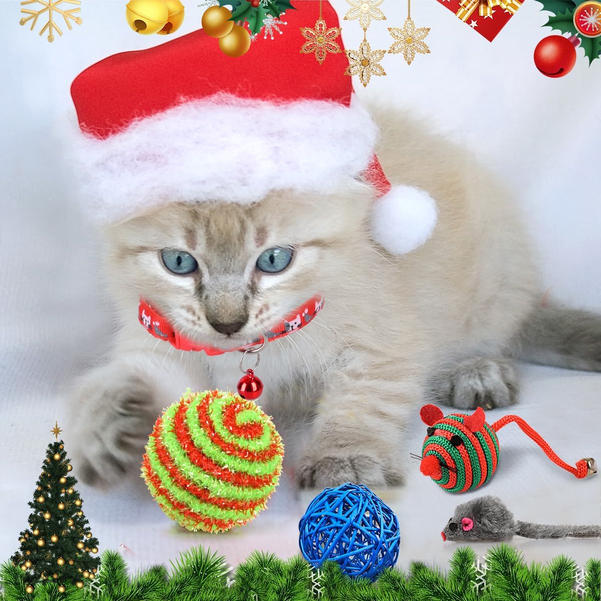 Christmas Kitten Advent Calendar