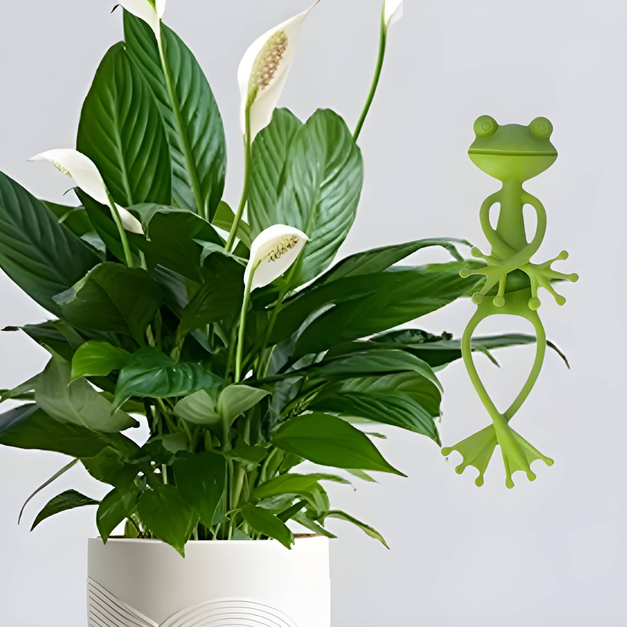 Creative Frog Plant Support Vine Climbing Assist Clip