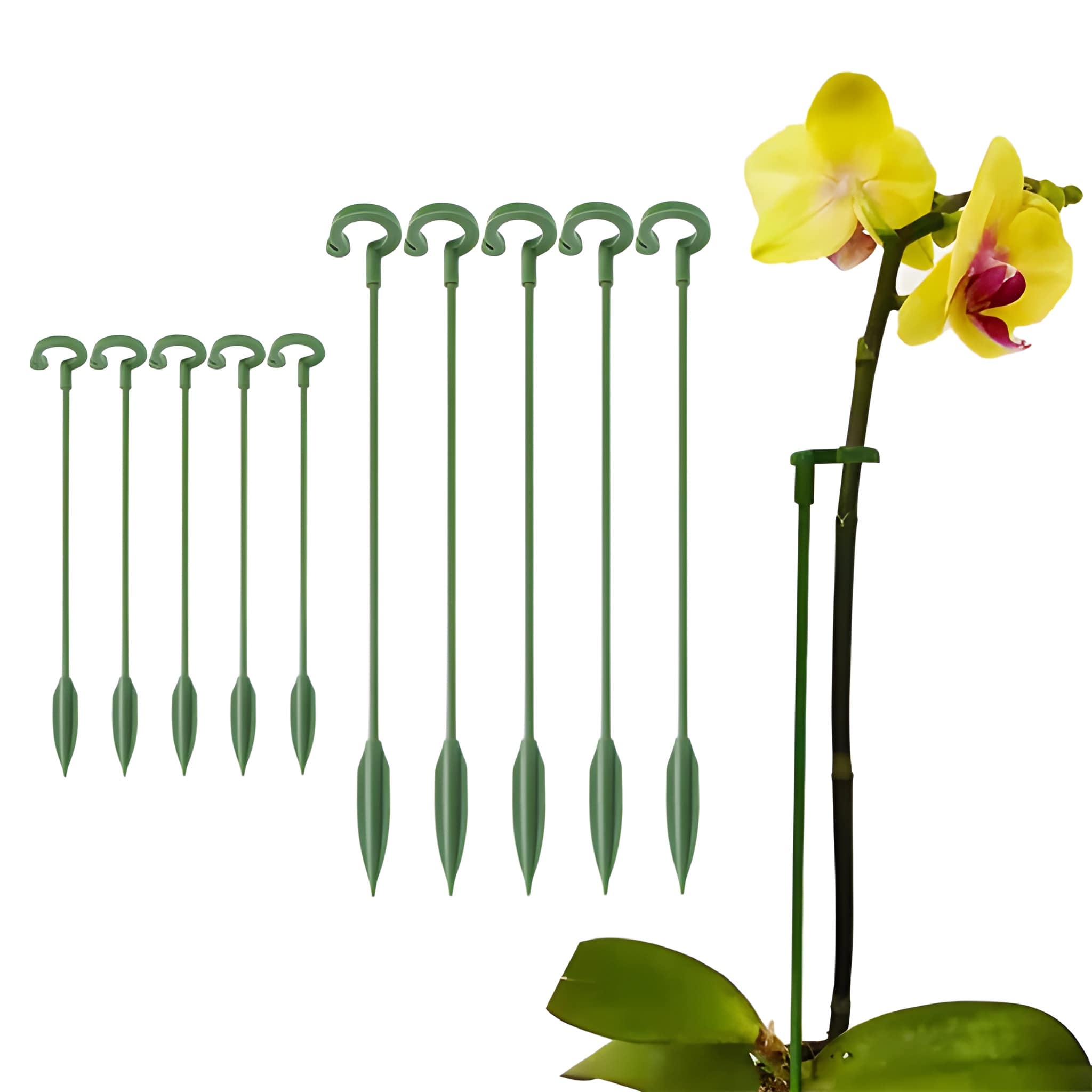 Plant Garden Trellis Climbing Frame