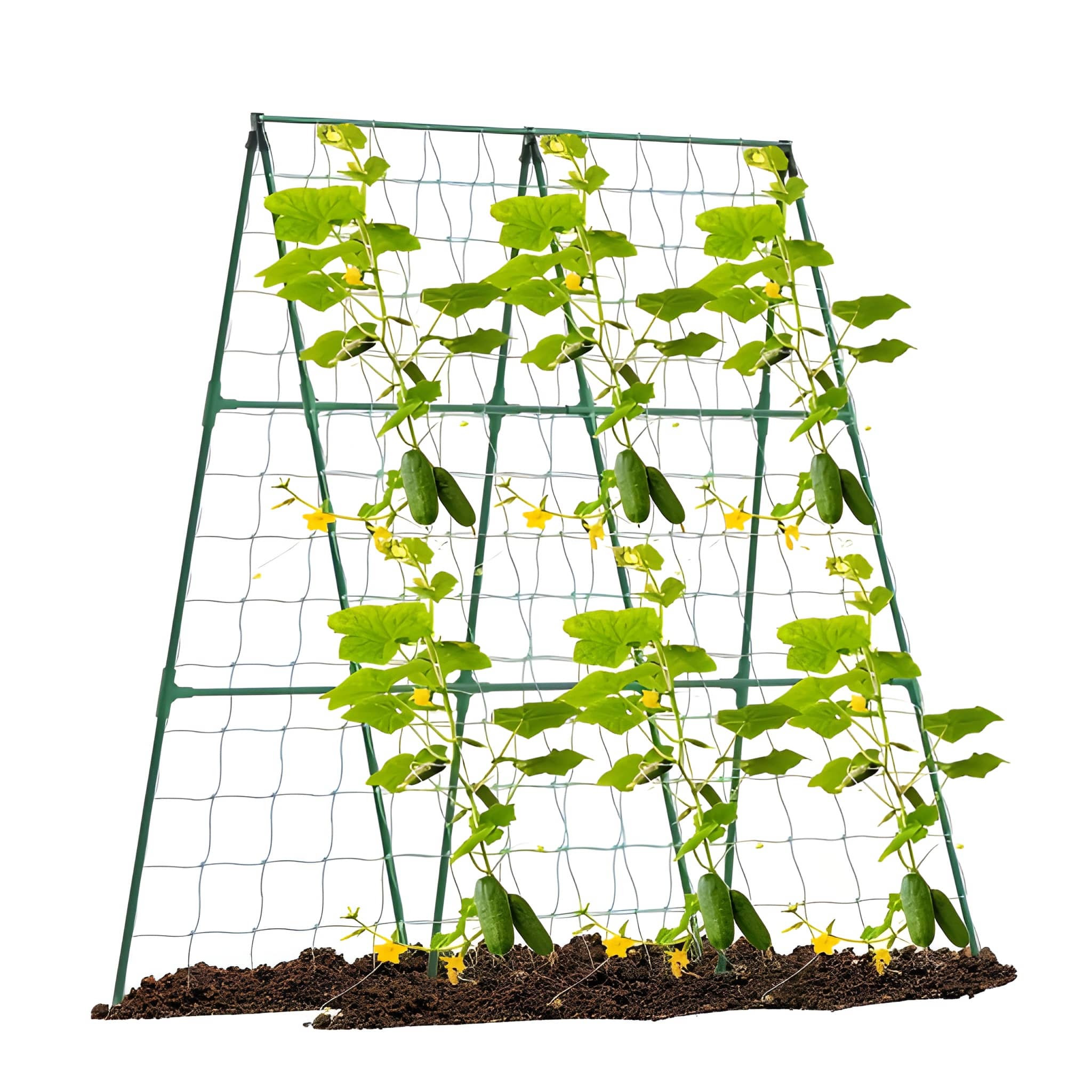 Weatherresistant Outdoor Plant Support Trellis With Sturdy Posts And Openweave Pvc
