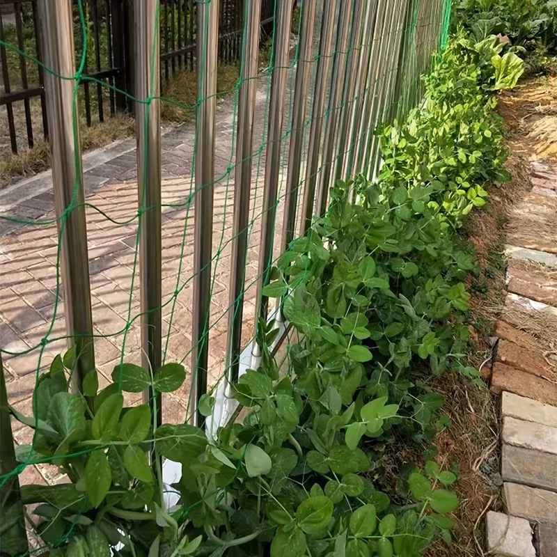 Weatherresistant Outdoor Plant Support Trellis With Sturdy Posts And Openweave Pvc
