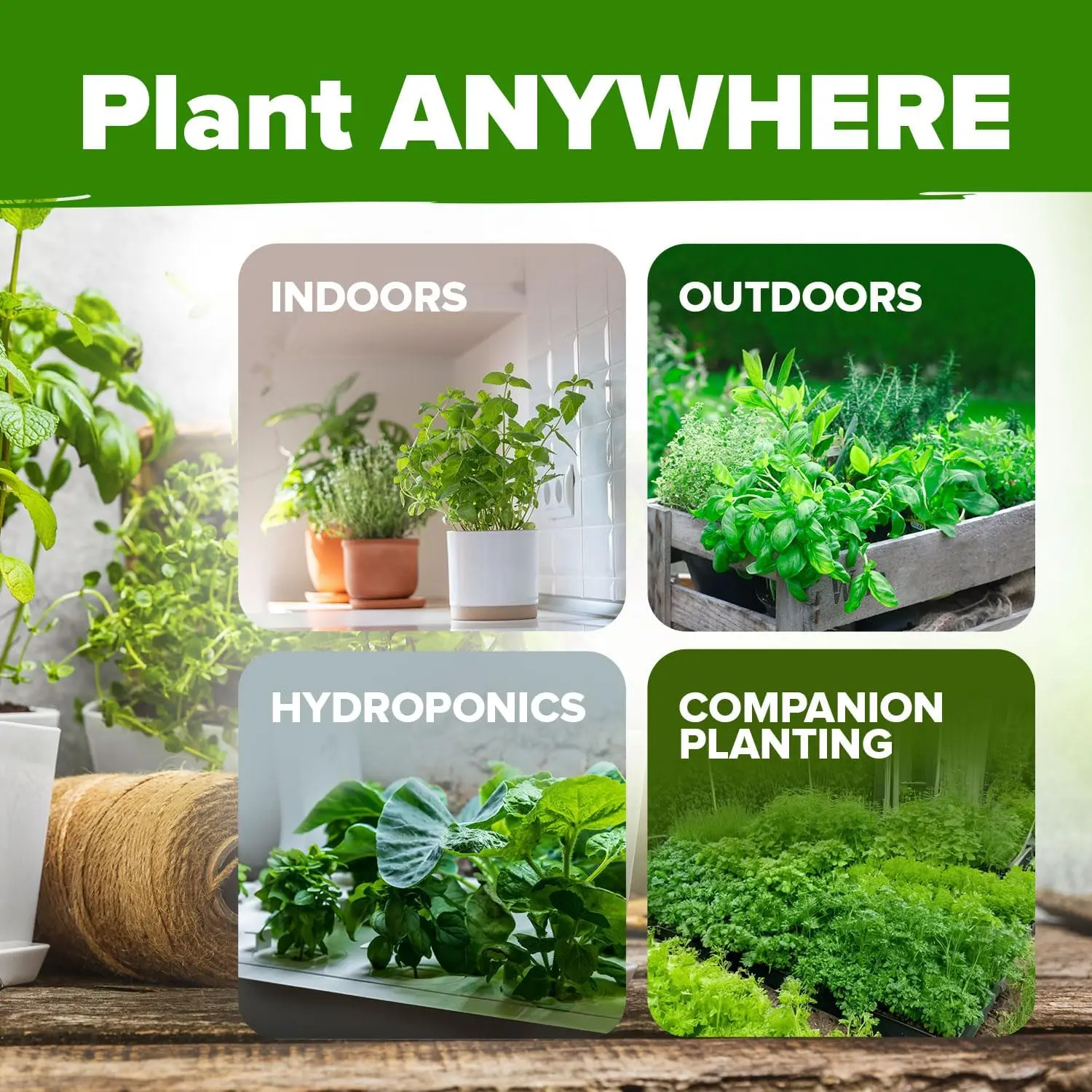 Heirloom Herb Seeds for Planting Indoors & Outdoors – Variety Pack, High Germination Culinary & Medicinal Herb Seeds for Hydroponic Garden, Indoor Growing, Kitchen Herb Garden Kit