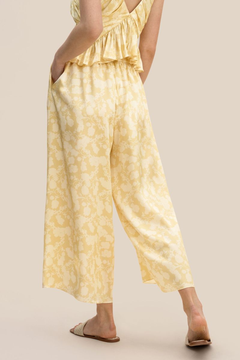 #color_Ombre des arbres