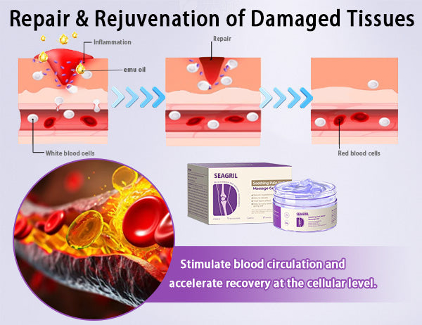 ⏰2026 New Year Special Offer🔥: Gsunleo™ Turmeric Emu Oil Arthritis Relief and Pain Relief Massage Gel👨‍⚕️ Certified by the American Osteopathic Association (AOA)