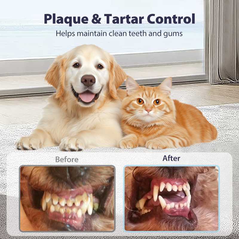 🎉Buy One Get One Free🔥Teeth Cleaning Spray for Pets