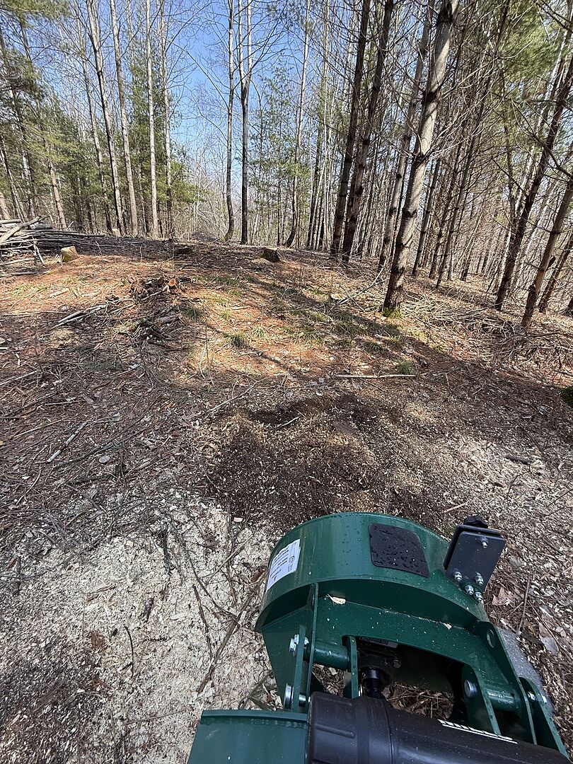 Emma Perez review image