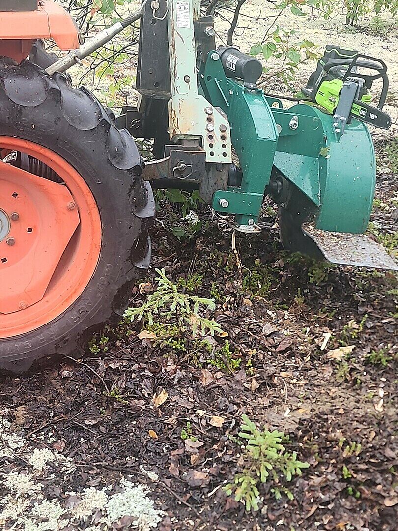 Ava Hernandez review image