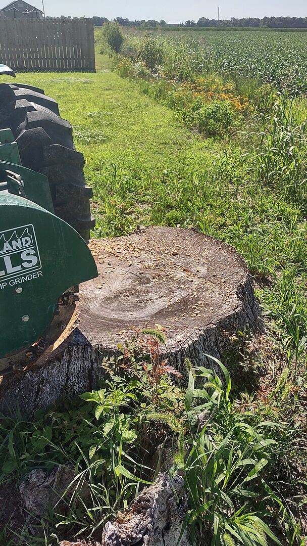 Renee Pruitt review image