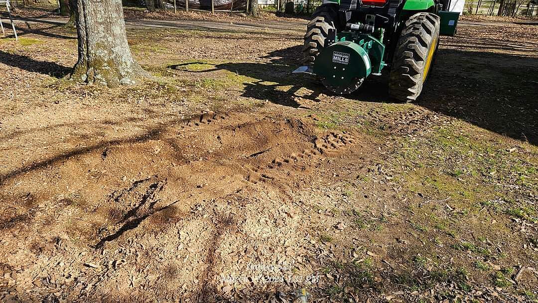 Alexander Sanchez review image