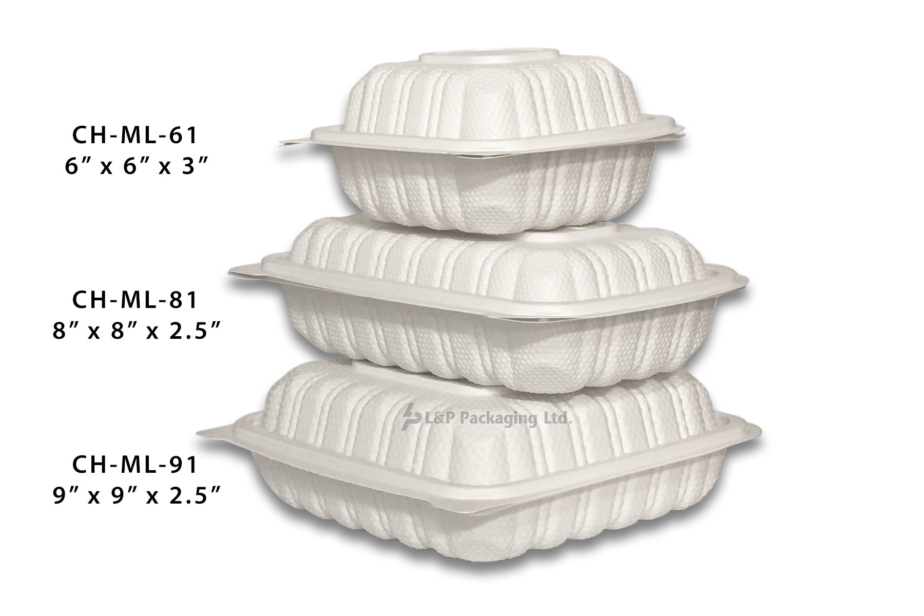 Hinged Plastic Containers