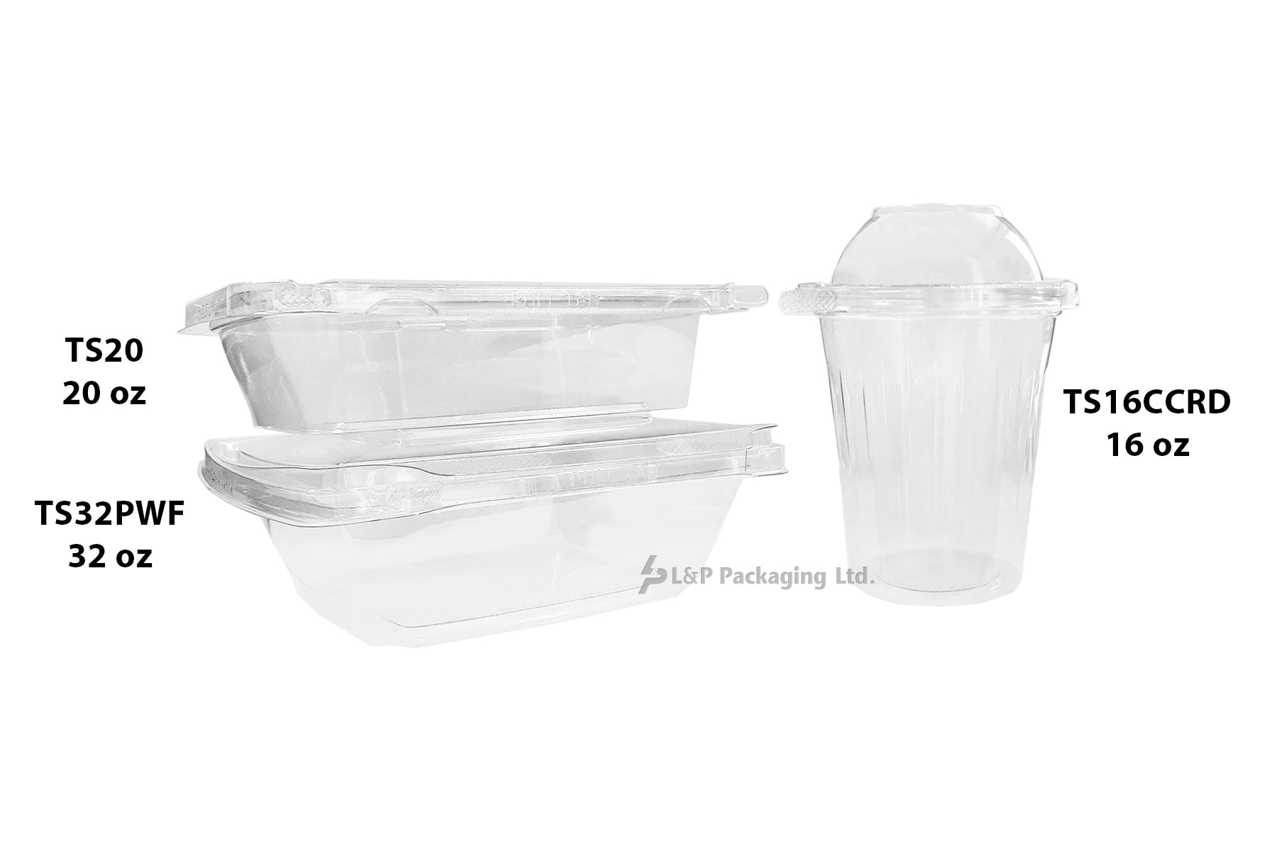 Hinged Containers with Secured Tab Lock