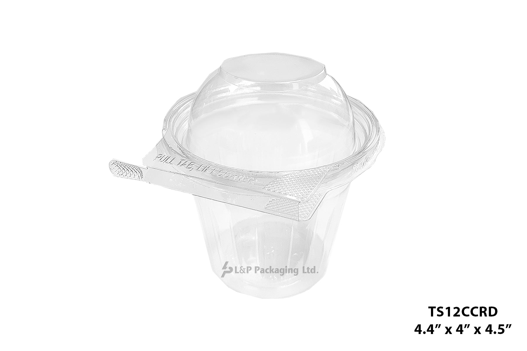 Hinged Containers with Secured Tab Lock