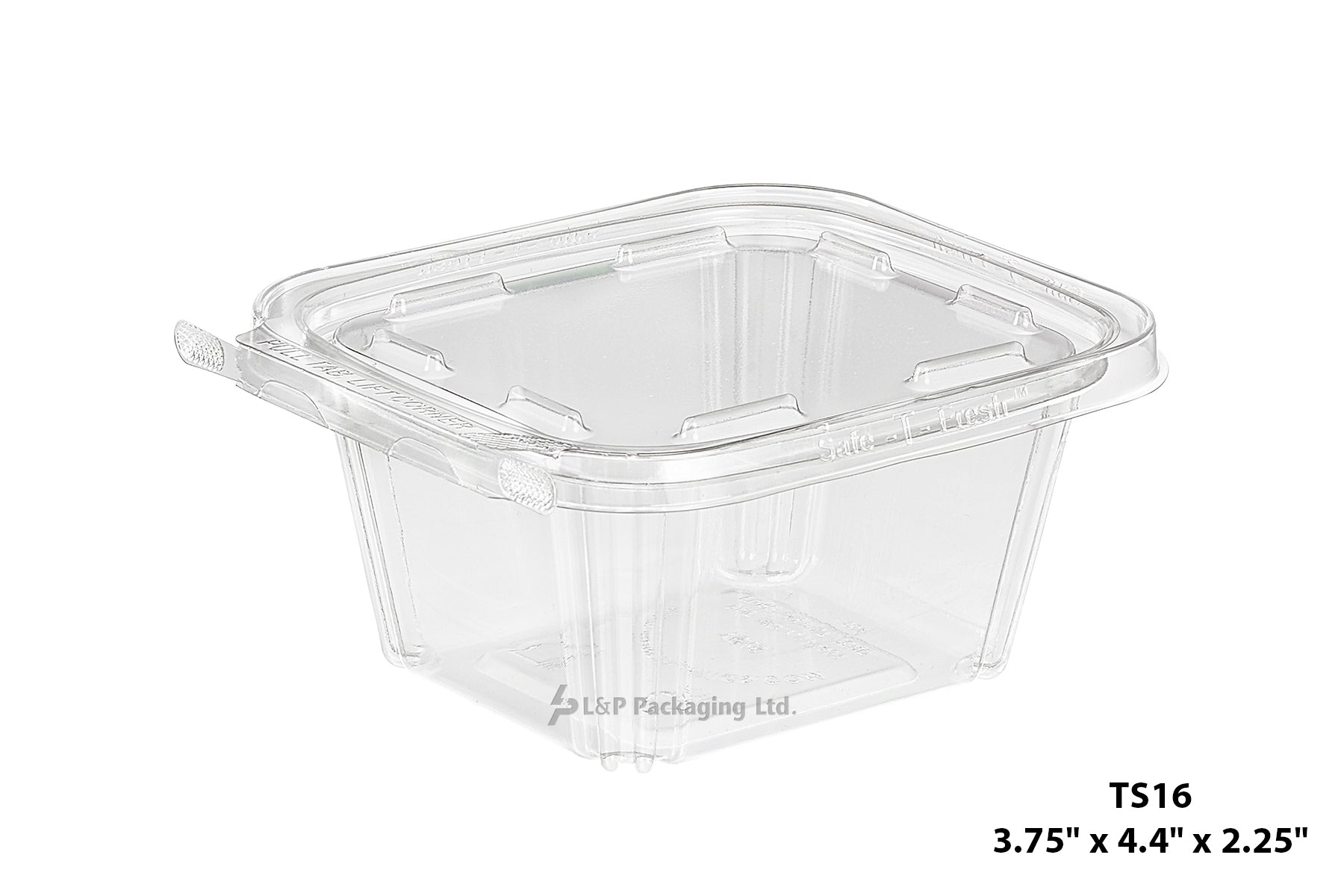 Hinged Containers with Secured Tab Lock