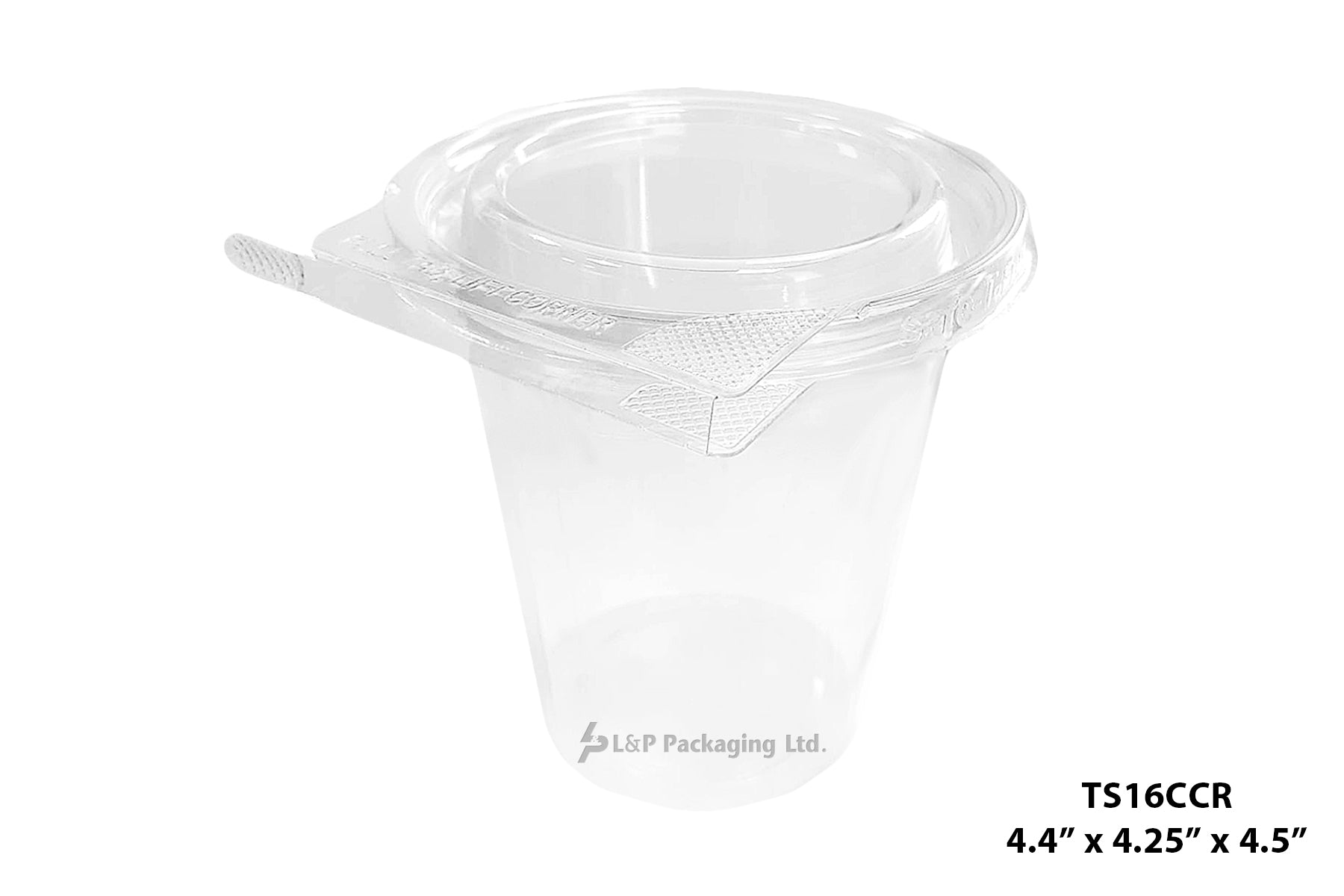 Hinged Containers with Secured Tab Lock