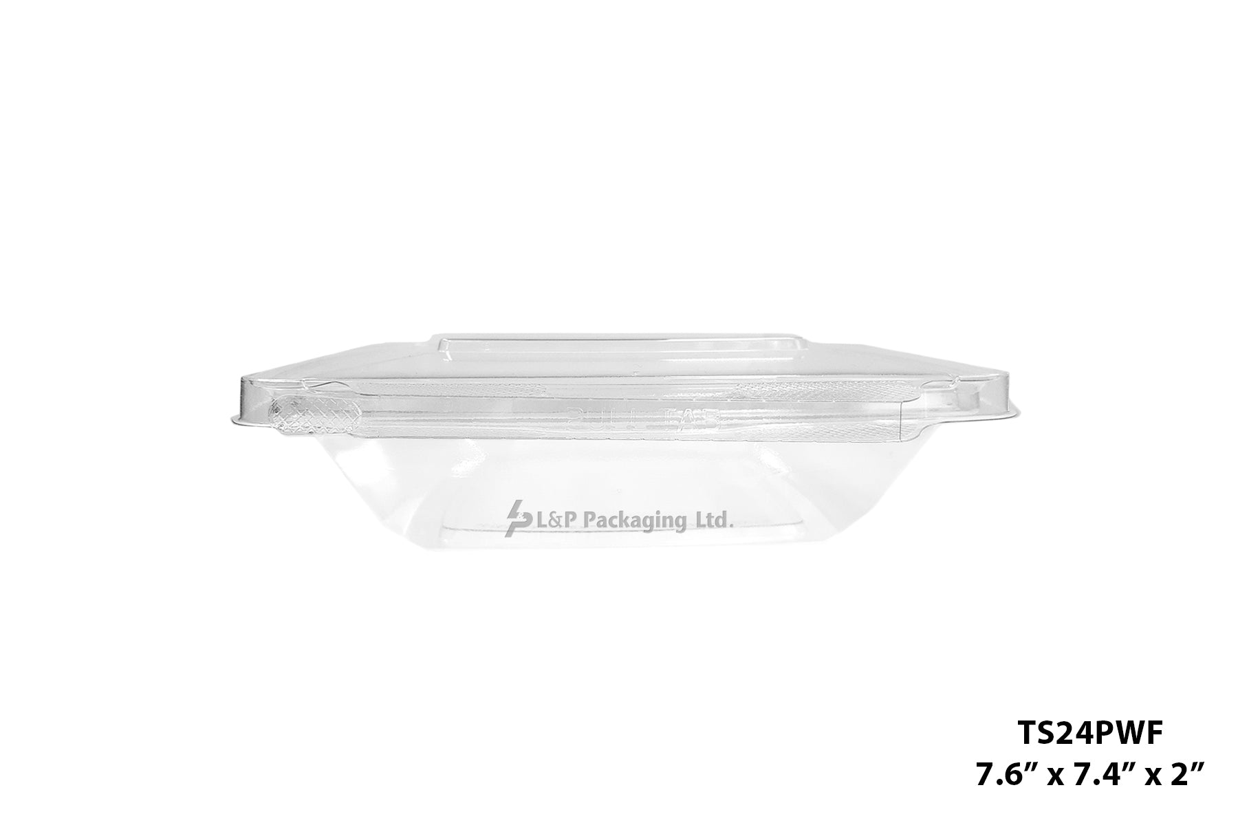 Hinged Containers with Secured Tab Lock