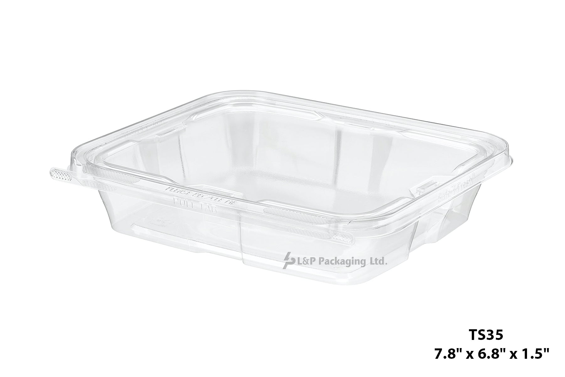 Hinged Containers with Secured Tab Lock