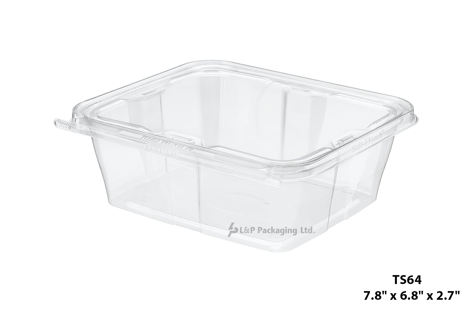 Hinged Containers with Secured Tab Lock