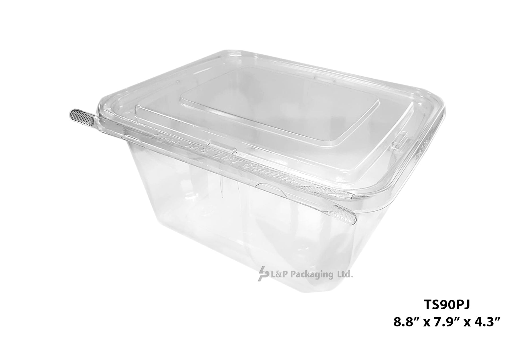 Hinged Containers with Secured Tab Lock