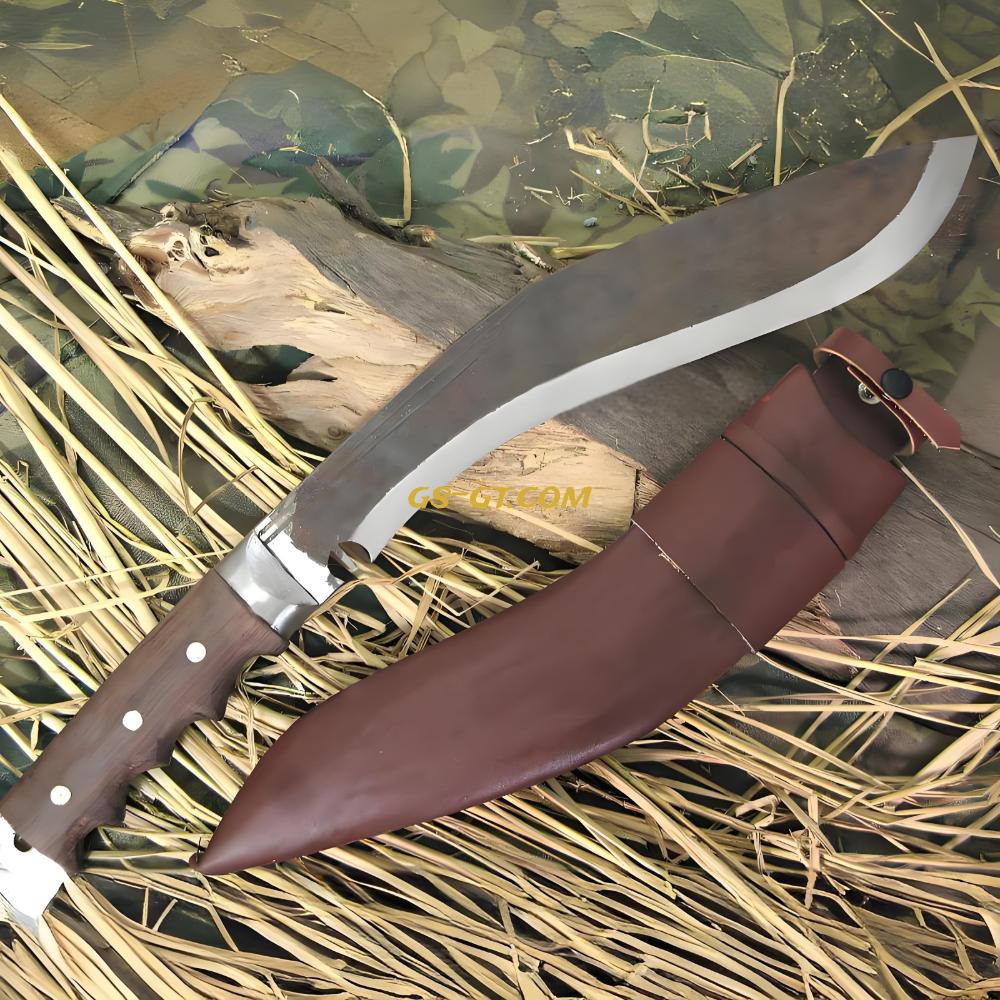 KHHI PanaPLUS (Discover)