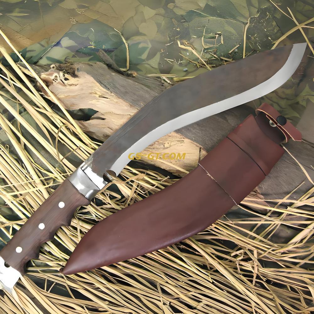 KHHI PanaPLUS (Discover)