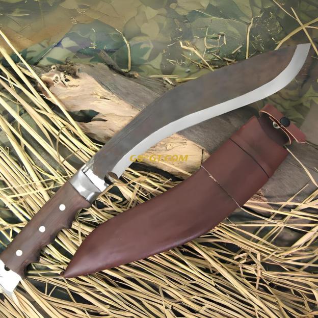 KHHI PanaPLUS (Discover)