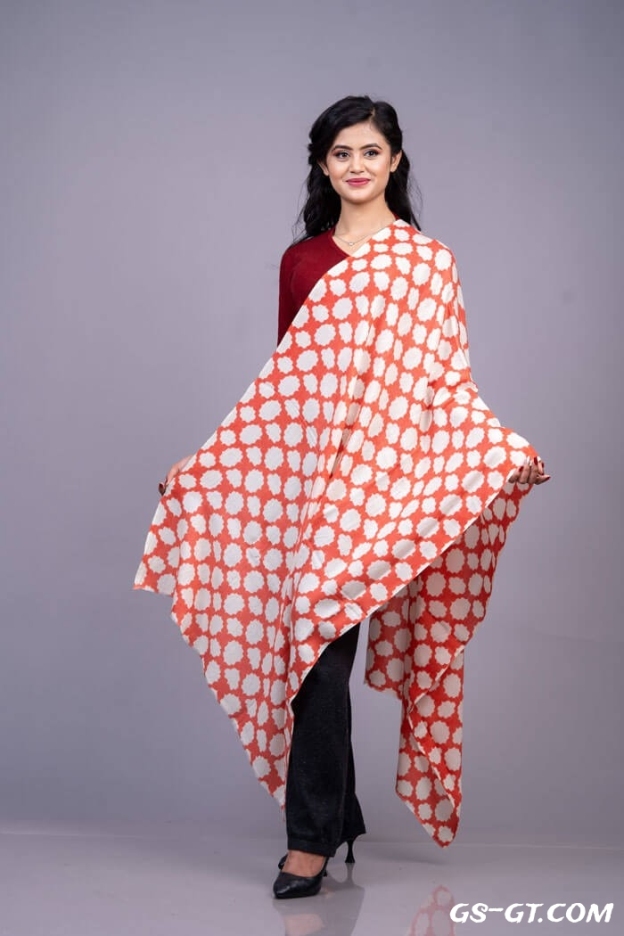 Pashmina Stole 100% Cashmere Printed Stole 28"×80"