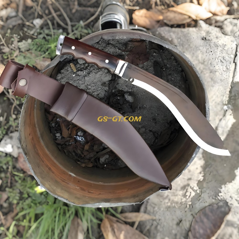 KHHI PanaPLUS (Discover)