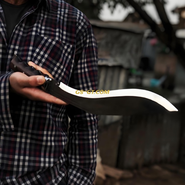 KHHI PanaPLUS (Discover)