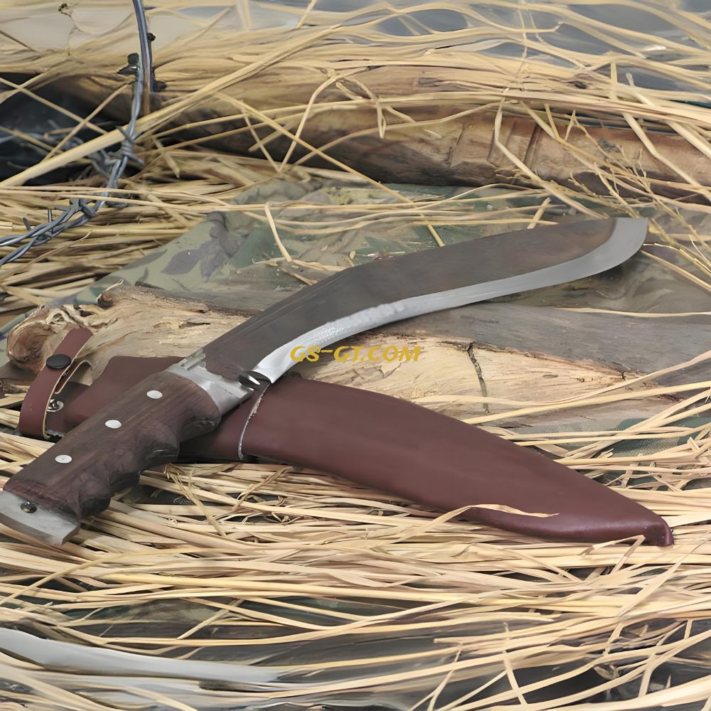 KHHI PanaPLUS (Discover)