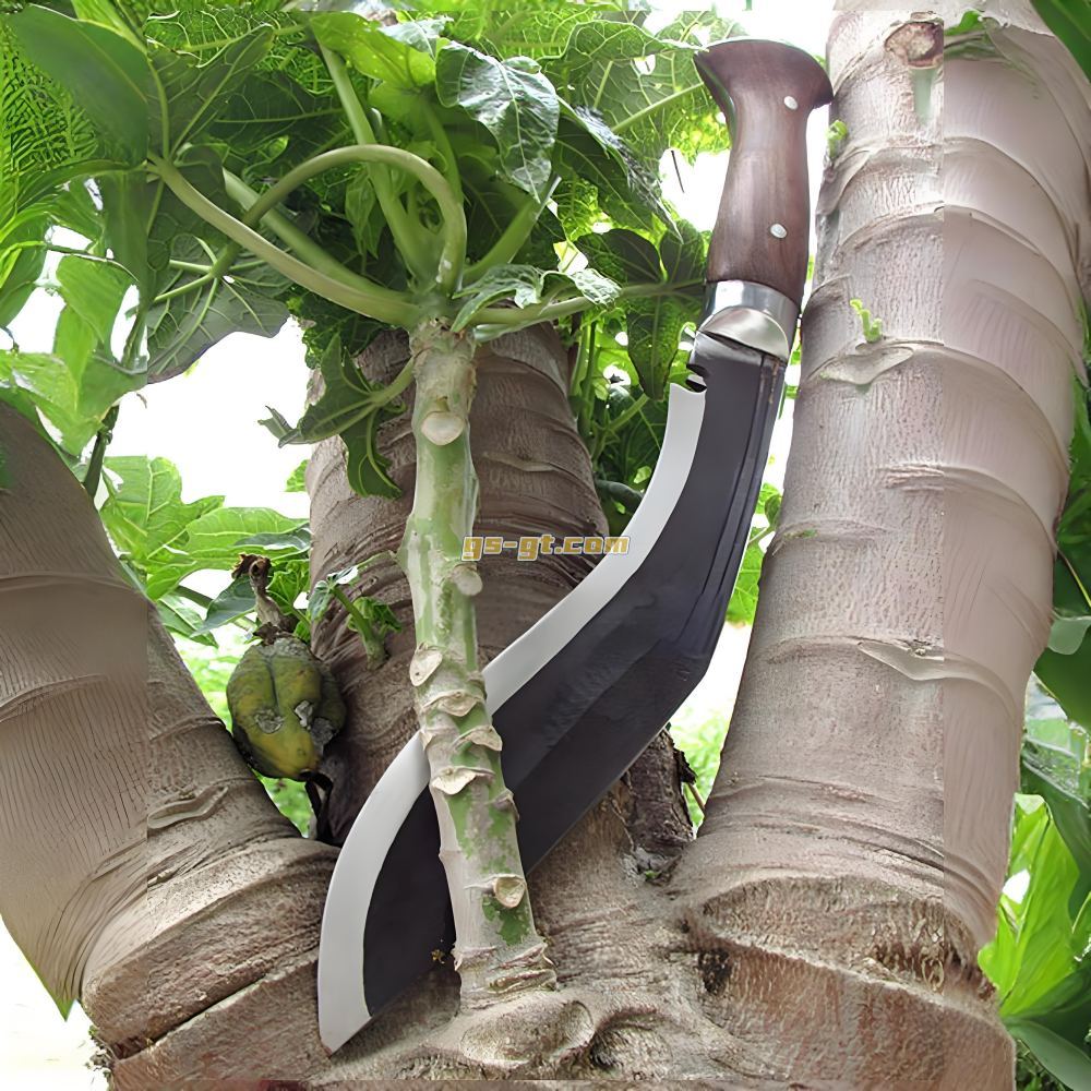 KHHI Raw Panawal (Workhorse)