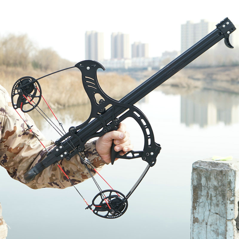 Hunting Compound Bow