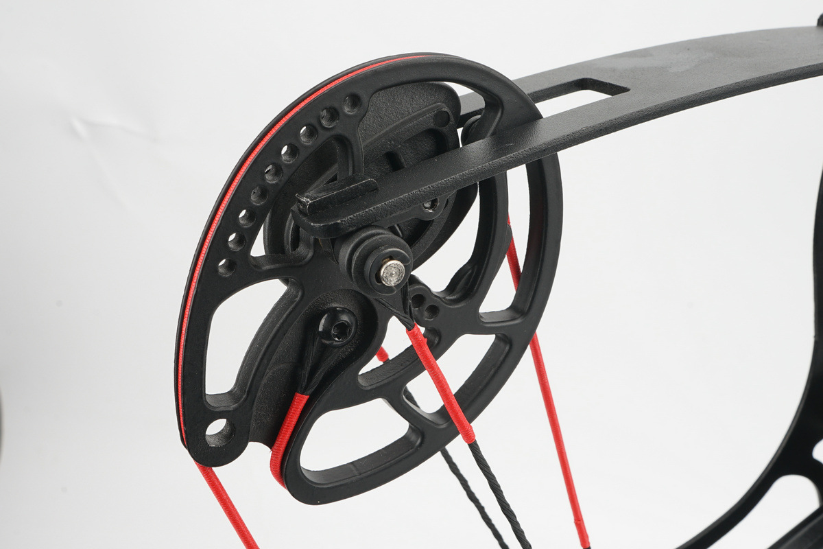 Hunting Compound Bow