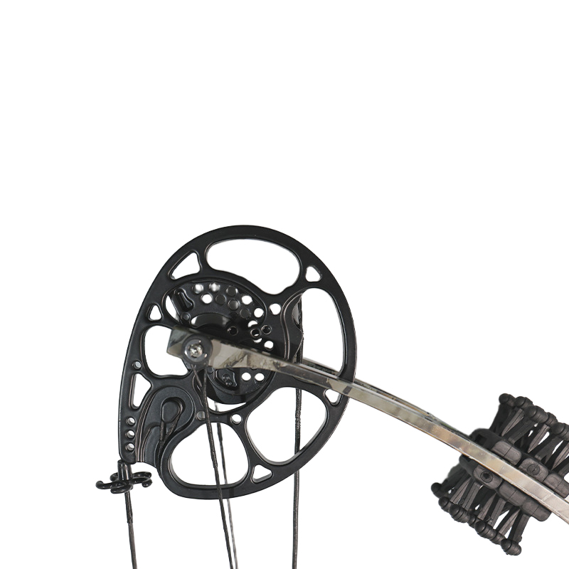 Feud 60-65 Lbs 19-31'' Draw Length Compound Bow YY-Leishen