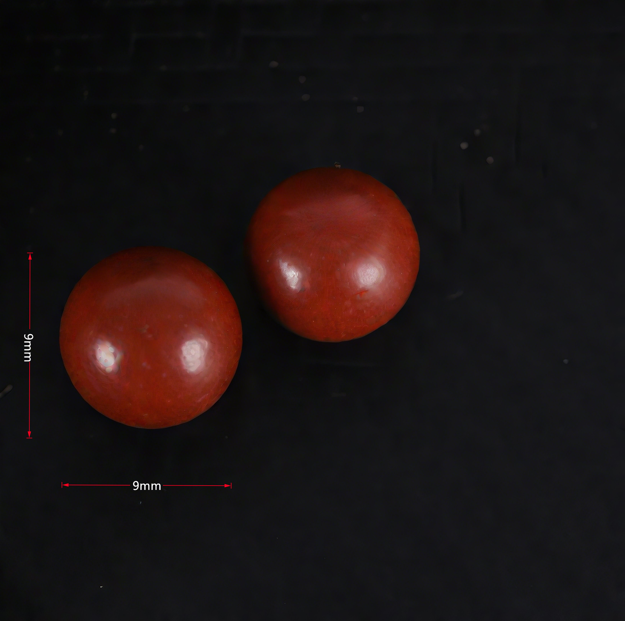 YUOUY 500pcs Outdoor Catapult Marble Ceramic Ball, Environmentally Friendly and Biodegradable Clay Ball