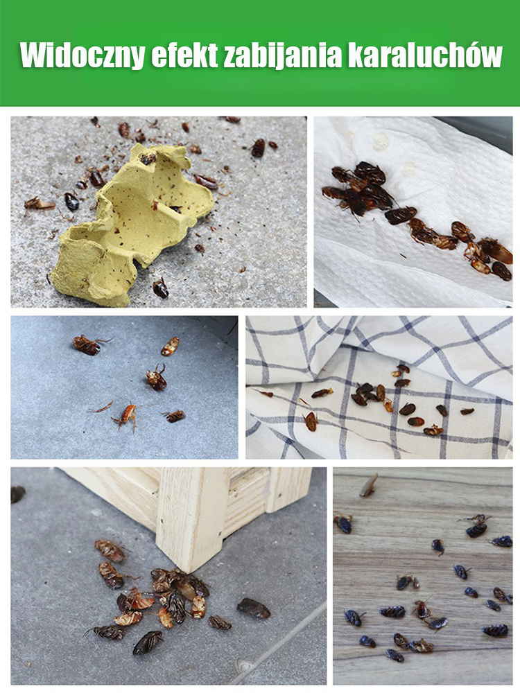 👶Ekologiczny, nietoksyczny środek na karaczany do domu 🏡Bezzapachowy i niedrażniący, usuwa karaczany w 3 dni