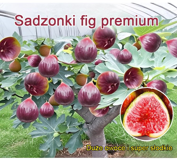 1_06.jpg