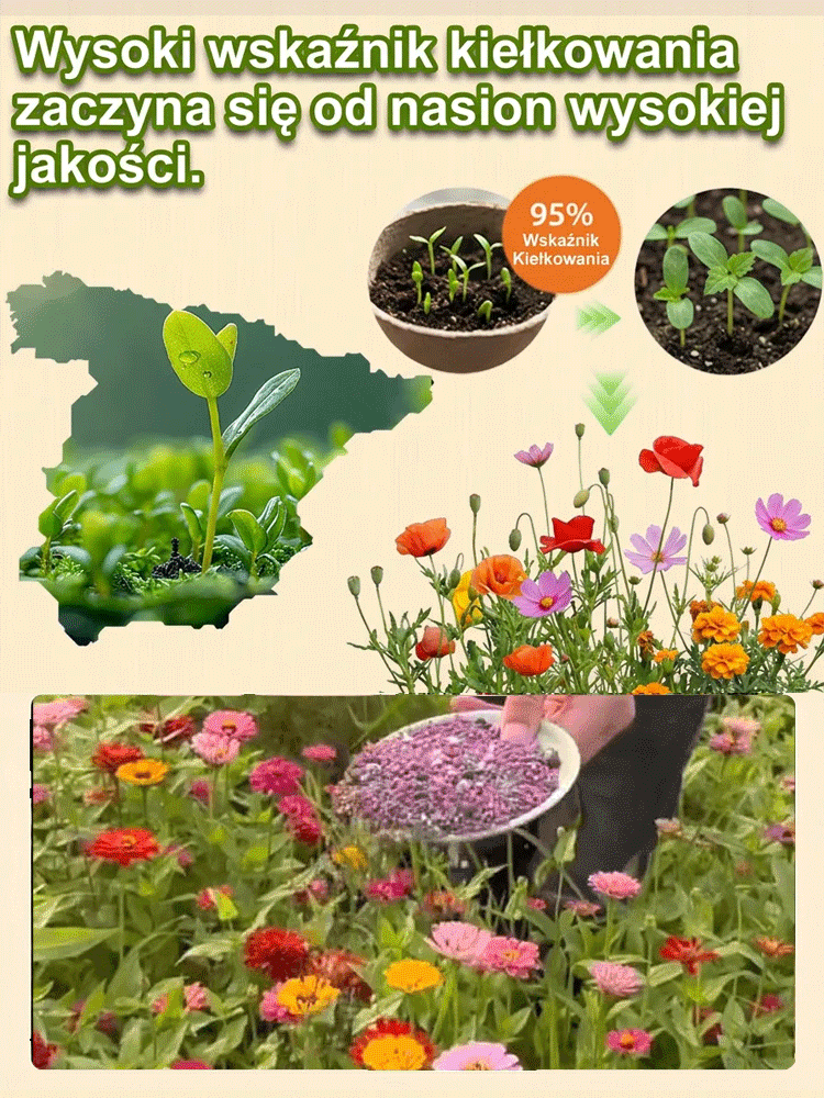 🌸 Chcesz mieć przepiękny ogród? Już teraz wysiewaj, a w kwietniu będziesz mógł cieszyć się widokiem kwitnących kwiatów! 🌸