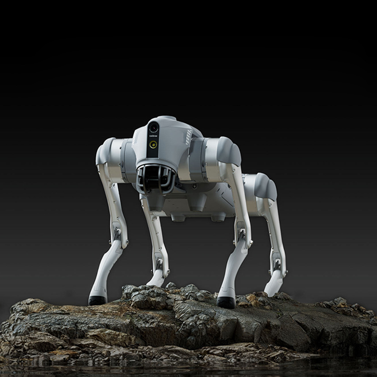 💡Szokująca technologia! Rozumie mowę, robi salta wtył. Dzieci sąsiadów będą zazdrościć!