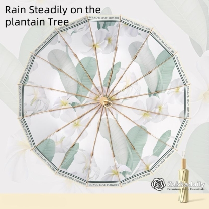 Asian Chinese painting /oil painting style umberlla