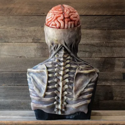 🧠🧠Silicone Skull Mask with Exposed Brain!!!🧠🧠
