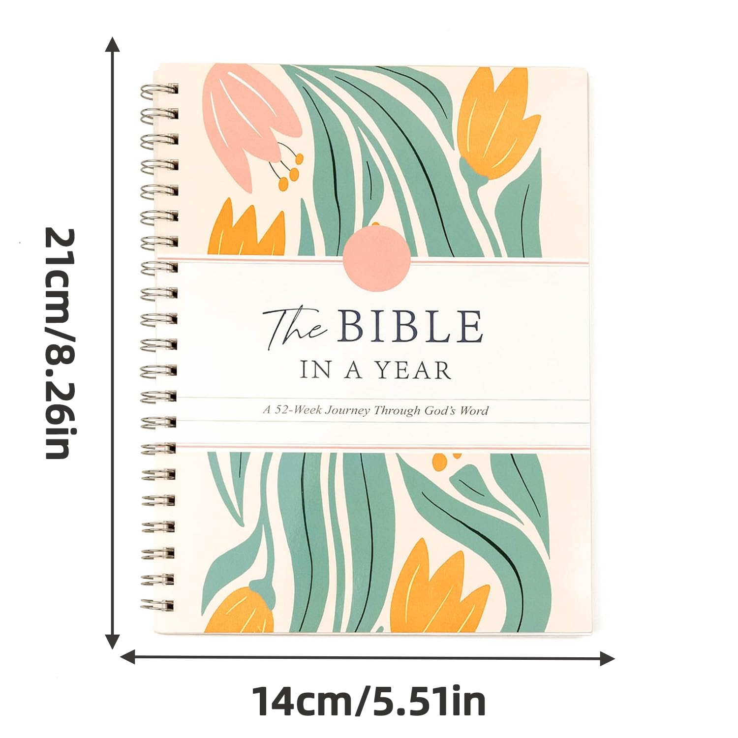 ☀️The Bible In A Year: A 52-Week Study ☀️