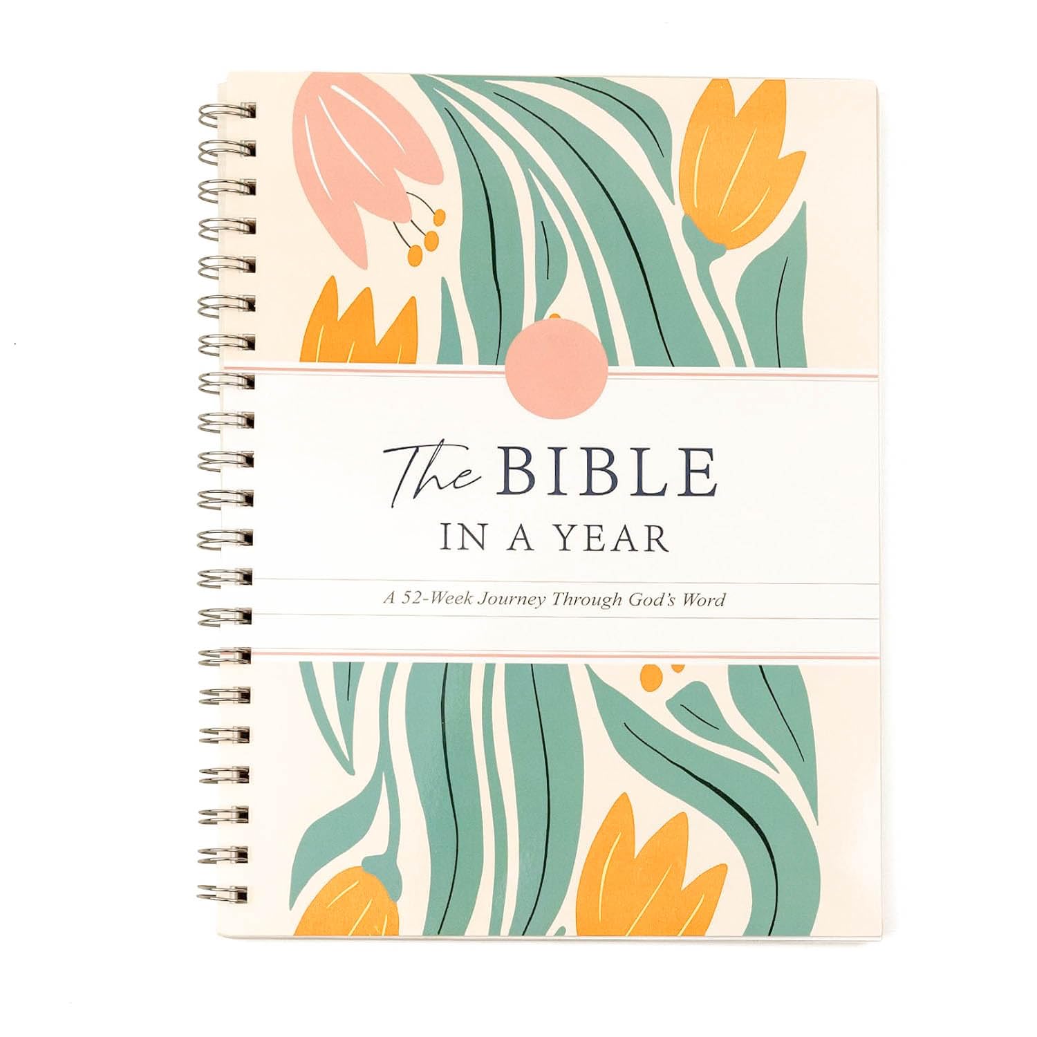 ☀️The Bible In A Year: A 52-Week Study ☀️