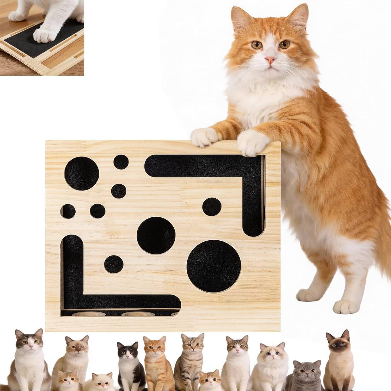 🎁😻✨Cat Scratch Puzzle Enrichment Box: Nail File Stress Free Alternative to Clippers and Grinders