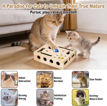 🎁😻✨Cat Scratch Puzzle Enrichment Box: Nail File Stress Free Alternative to Clippers and Grinders