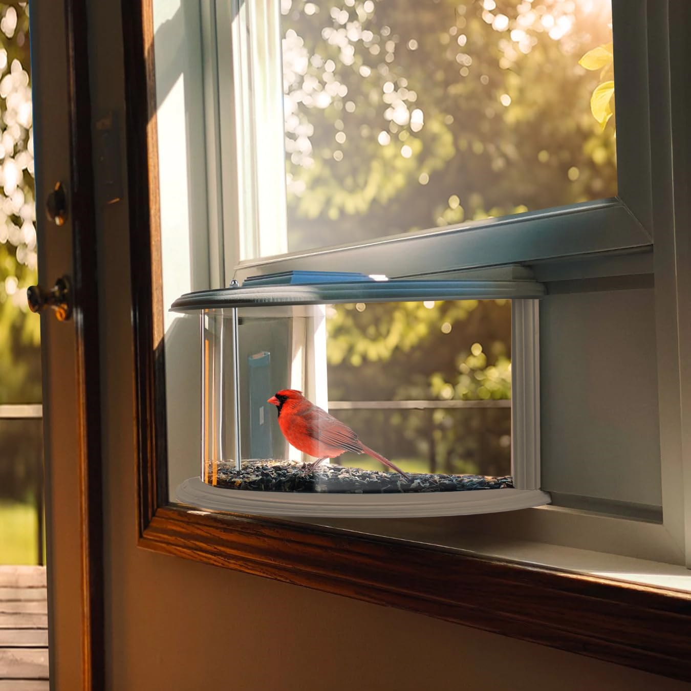 [Copy]Window Bird Feeder-180° Clear View