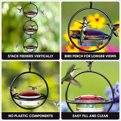 Hummingbird Water Feeder | 4 Feeding Ports Feeder